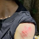 울산바위 비너스 1피치(코난<b>대장</b>님)/등반후기