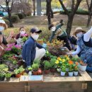 청사로-14 이미지