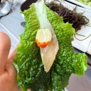 평화횟집 | 목포 평화광장 횟집 '본전회수산' 솔직후기