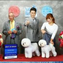 킴스애견미용 이미지