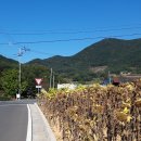 월운마을회관 이미지