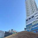 아트갤러리 PC방 | [Diary] 그냥 겨울방학 일기