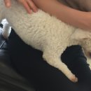 개린이 하우스 이미지