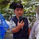 향기포도농원 이미지