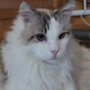 우리단비랑 이미지