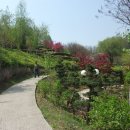 The Asan Pinnacle land (아산 피나클 랜드) 이미지