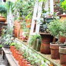 월평1호 이미지