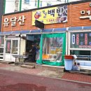 영심이백반 이미지