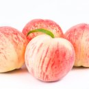 유미농장 이미지