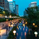 시민의숲산책로1-1 이미지