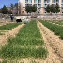 읍내9리 마을회관 이미지