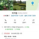 스카이워터쇼 이미지