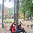 상소동 오토캠핑장 이미지