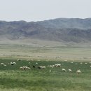 초야목장 이미지