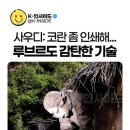 송연먹 이미지