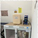 더빛나개 이미지