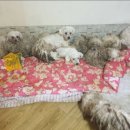 팅커벨 - 진주시 모덕로270번길 5 | 팅커벨