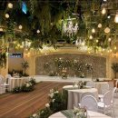 강남하우스 이미지