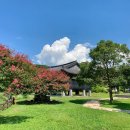 하원동 법화사입구4가 2 | 숨은 제주도 힐링 공간, 지금은 배롱나무 백일홍이 만발! "서귀포 법화사"