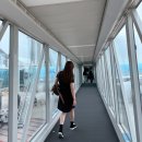 765 | 대한항공 일본 삿포로 항공권 예약 KE765 KE770 탑승후기