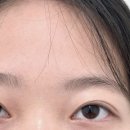 마루브로우 | [강서구 목동] '리임브로우' 속눈썹펌 1:1 맞춤 디자인 / 노글루펌 솔직 리뷰