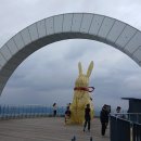 안지랑골관리소뒤 이미지