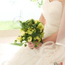 더리시안 이미지