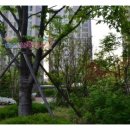 미사강변9단지@ 이미지