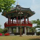 호수공원6로 Daum카페