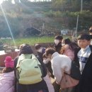 선소경로당 이미지