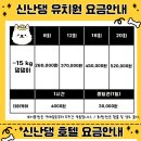 신난댕 애견유치원 이미지