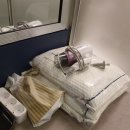 엠앤럭키호텔 이미지