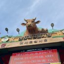 화월축산 이미지