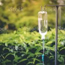 티지소프트 이미지