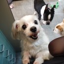 영심이살롱곰곰이호텔 이미지