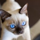 통키통키 이미지