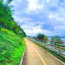 낙동강자전거길 이미지