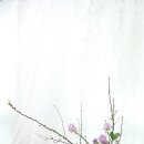 라로즈스쿨