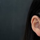 증산의원 | 전문 찾고계시다면 바로 여기추천합니다!디센트피어싱 증산점 첫피어싱 안전한곳 가족과함께 방문후기...