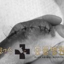 해운대플러스동물병원 이미지