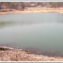 동막동(5) 이미지