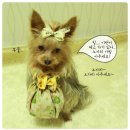 초등학교에 간 <b>베리</b> _ 수상한동거64