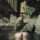 기린산소 이미지