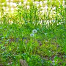 석대천로 이미지