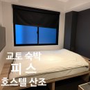 더폼호스텔 | 교토 피스 호스텔 산조 (Piece Hostel Sanjo) 더블룸 프라이빗 욕실 후기