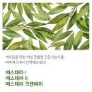에스테라 - 김천시 혁신2로 80 | 에스테라