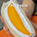 다코팩 | 후쿠오카 신선산도 위치 및 가격 오픈런 웨이팅 없이 망고산도 구입 후기