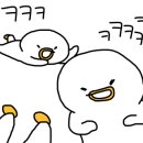 그루밍154 이미지