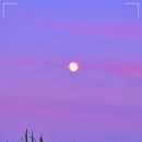 달뜨는목장 이미지