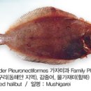 미주구리 이미지